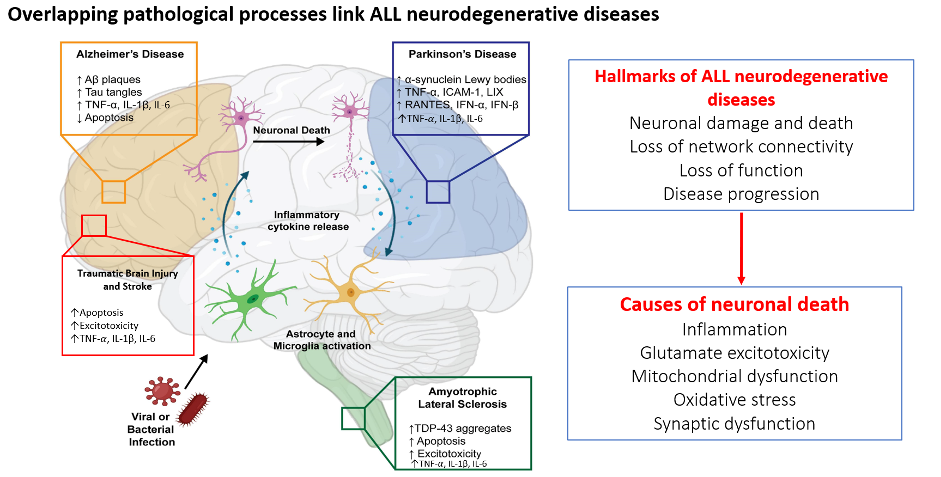 overlapping-pathological_processes