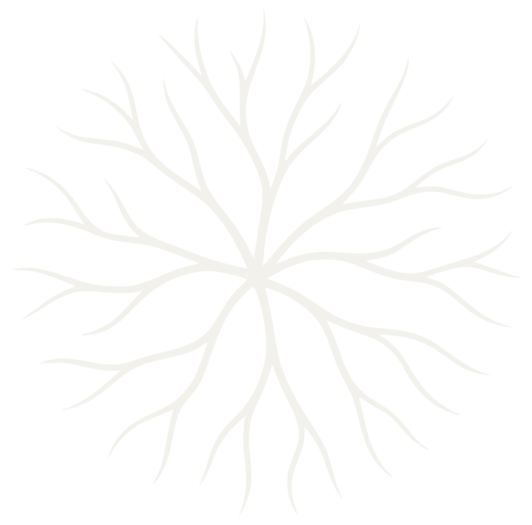 Tikomed_Symb_Cream White